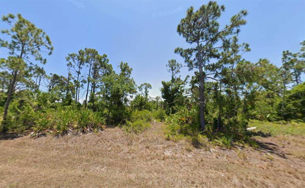 9252 Canna Street - Photo 1