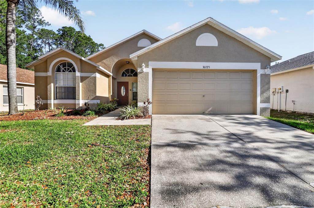 30723 Birdhouse Drive - Photo 1