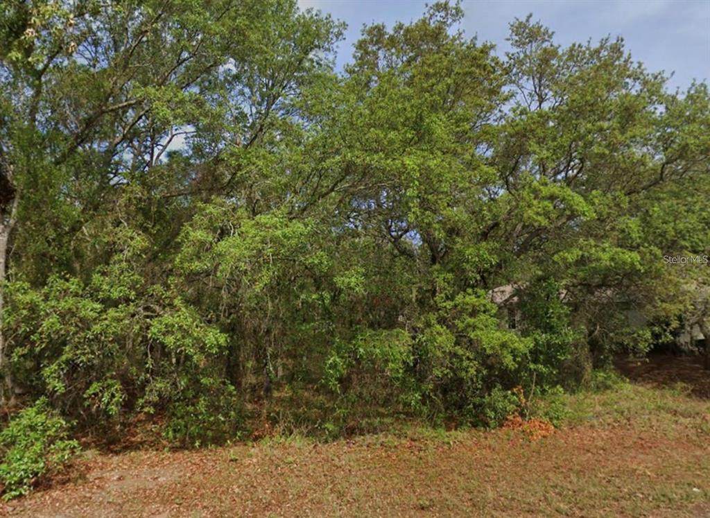 4 Honeysuckle Court - Photo 1