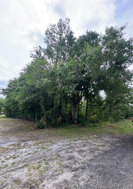1249 Sable Palm Drive - Photo 1
