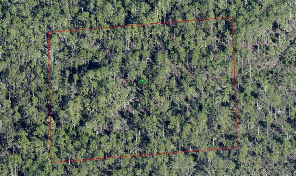  Lake Harney Road - Photo 1