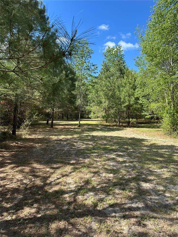 1449 October Road - Photo 1