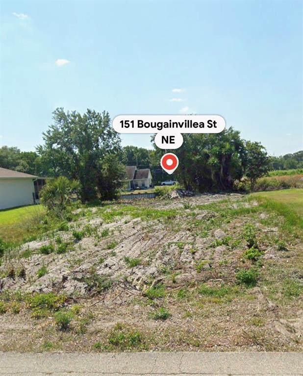 151 Bougainvillea Street - Photo 1