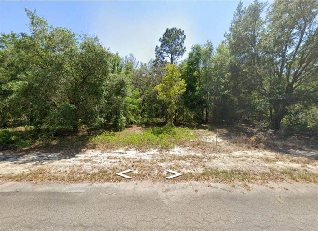 0 Guava Lane Place - Photo 1
