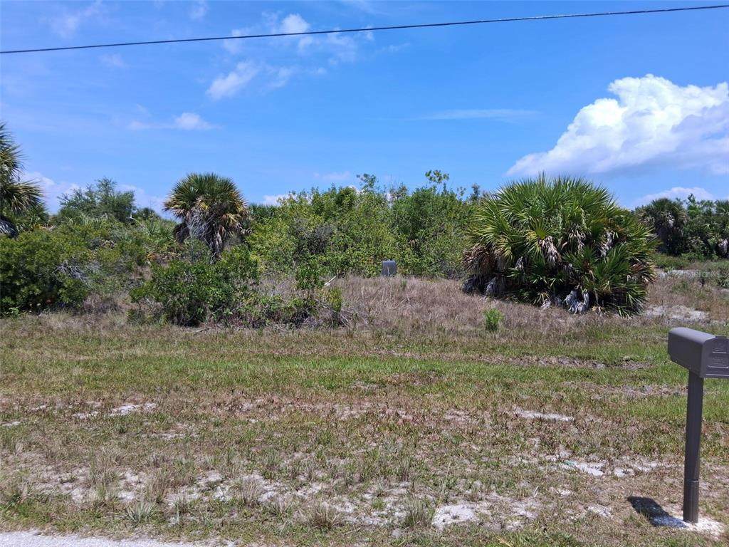 10166 Kingsville Drive - Photo 1
