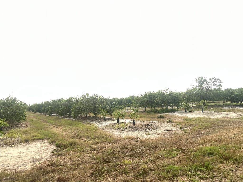 https://bt-photos.global.ssl.fastly.net/mfr/orig_boomver_1_O6409640-2.jpg