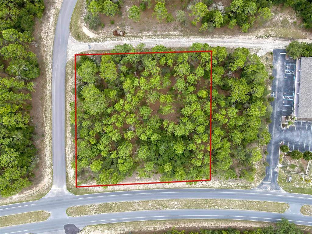 9787 Citrus Springs Boulevard - Photo 1