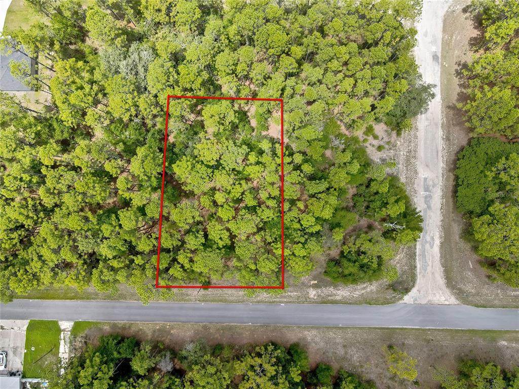7732 Udal Drive - Photo 1