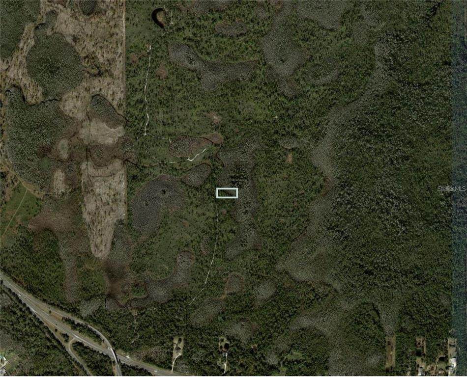  Dill Road - Photo 1
