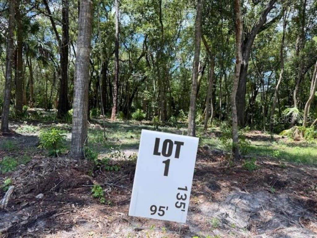 282 Country Club Road - Photo 1