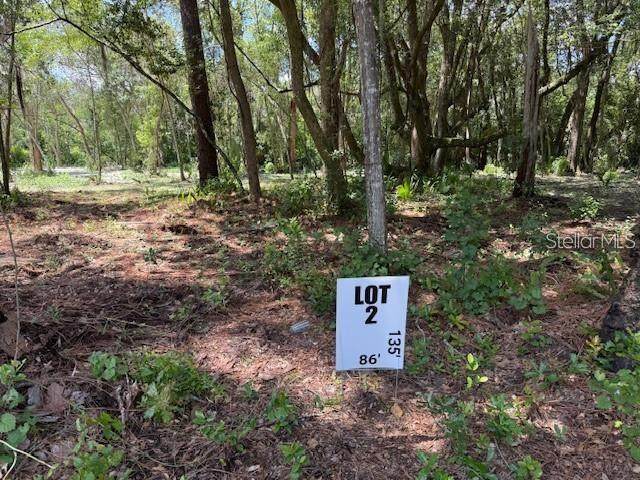 290 Country Club Road - Photo 1