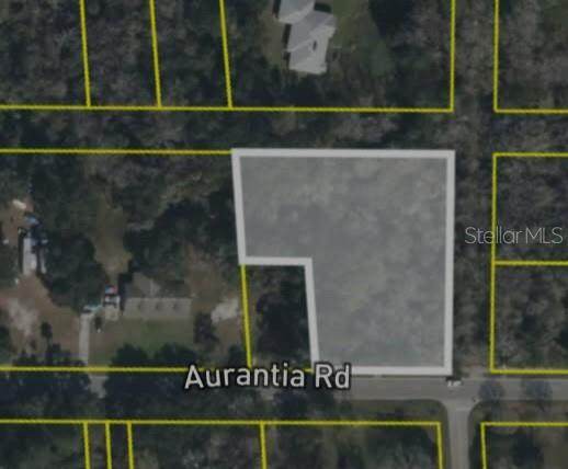 4060 Aurantia Road - Photo 1