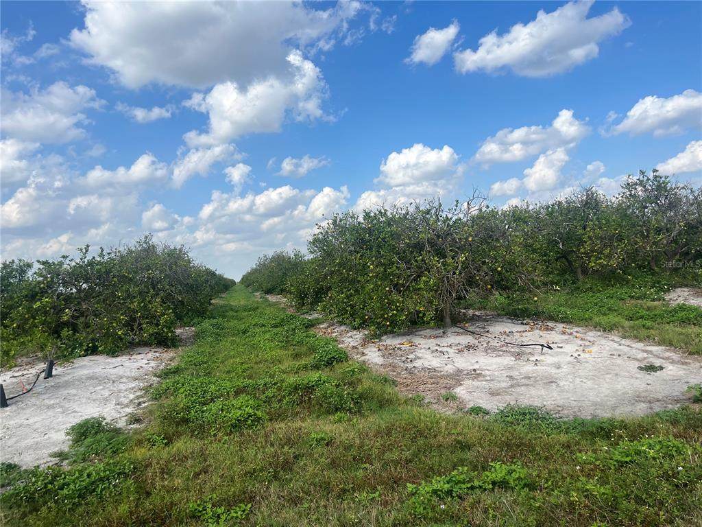  Ne Hwy 70 - Photo 1