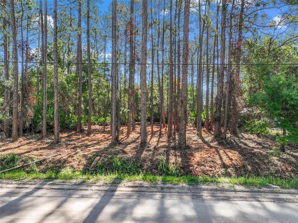 2679 Forest Park Street - Photo 1