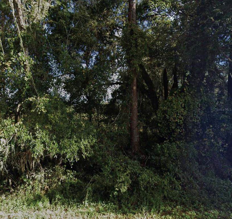  234TH PLACE Road - Photo 1