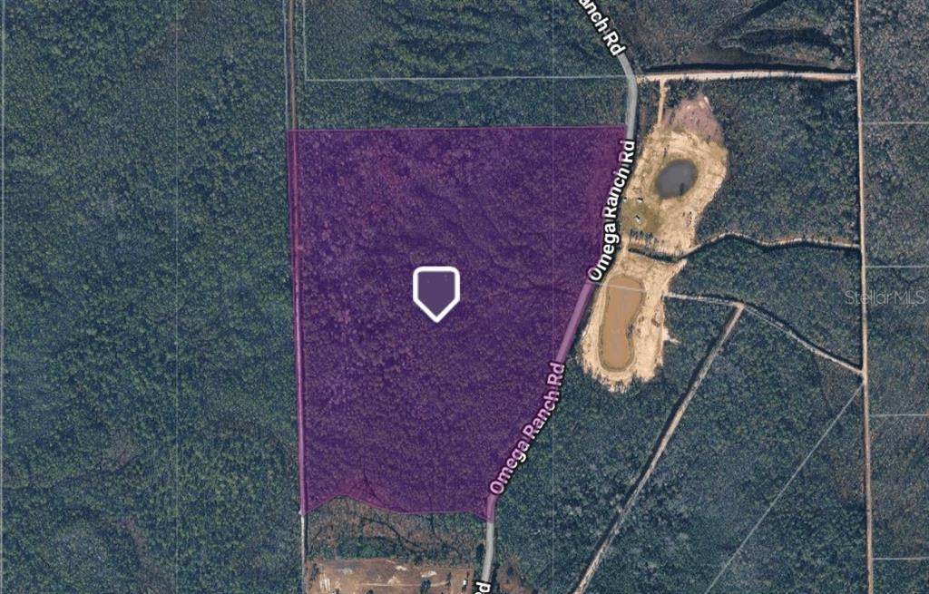 1135 Omega Ranch Road - Photo 1