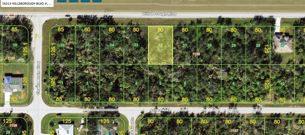 16213 Hillsborough Boulevard - Photo 1