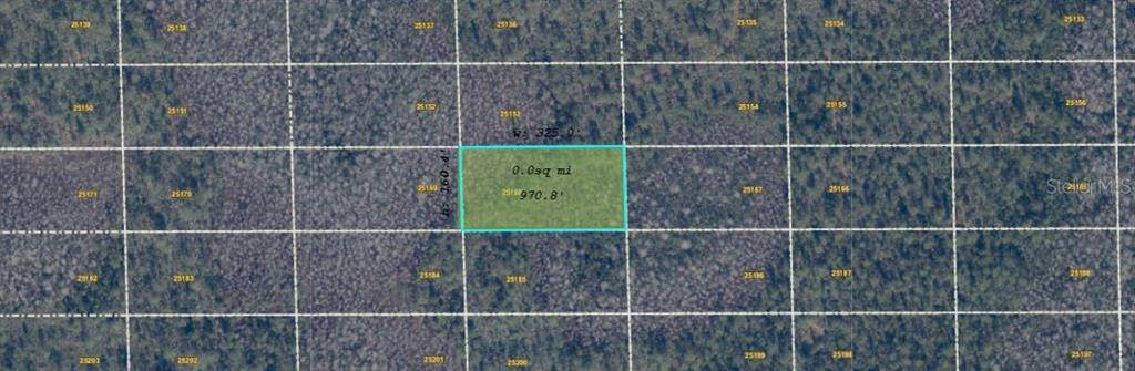  Dill Road - Photo 1