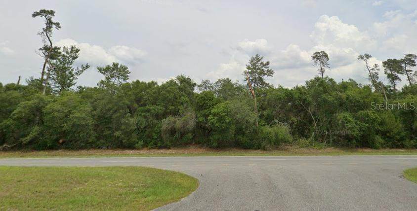 TBD Marion Oaks Boulevard - Photo 1