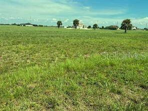 12 Spruce Lane - Photo 1