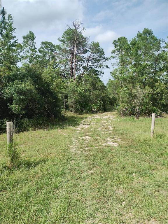 6033 Tirana Lane - Photo 1
