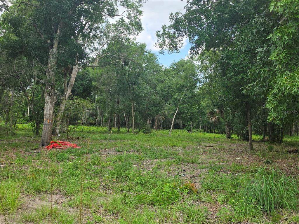 180 Oak Drive - Photo 1