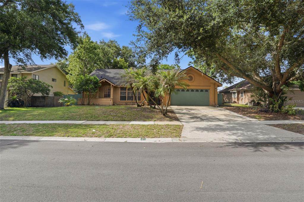 733 Swaying Palm Drive - Photo 1