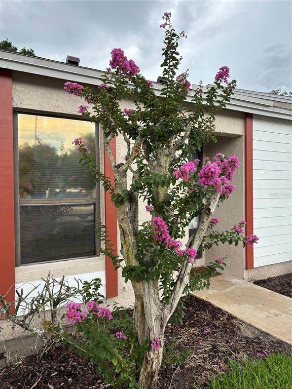 7733 Country Place - Photo 1
