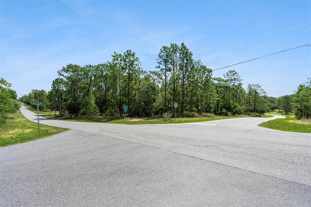 4181 Malaluka Circle - Photo 1
