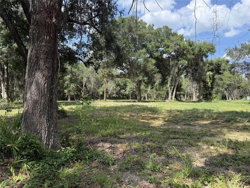 620 Cochran Road - Photo 1