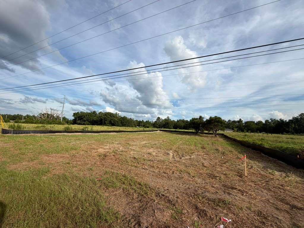  113TH STREET Road - Photo 1