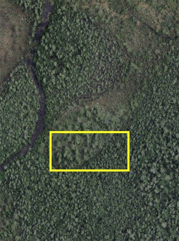  Dill Road - Photo 1