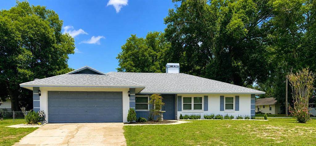 3905 Lemon Tree Ct - Photo 1