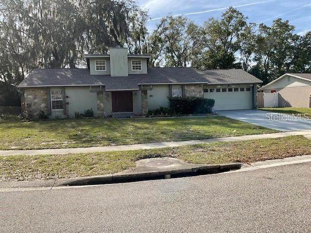 6206 Chinaberry Drive - Photo 1