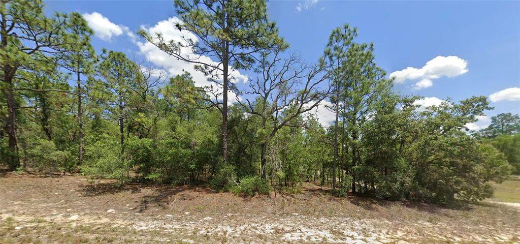 9857 Lathyrus Terrace - Photo 1