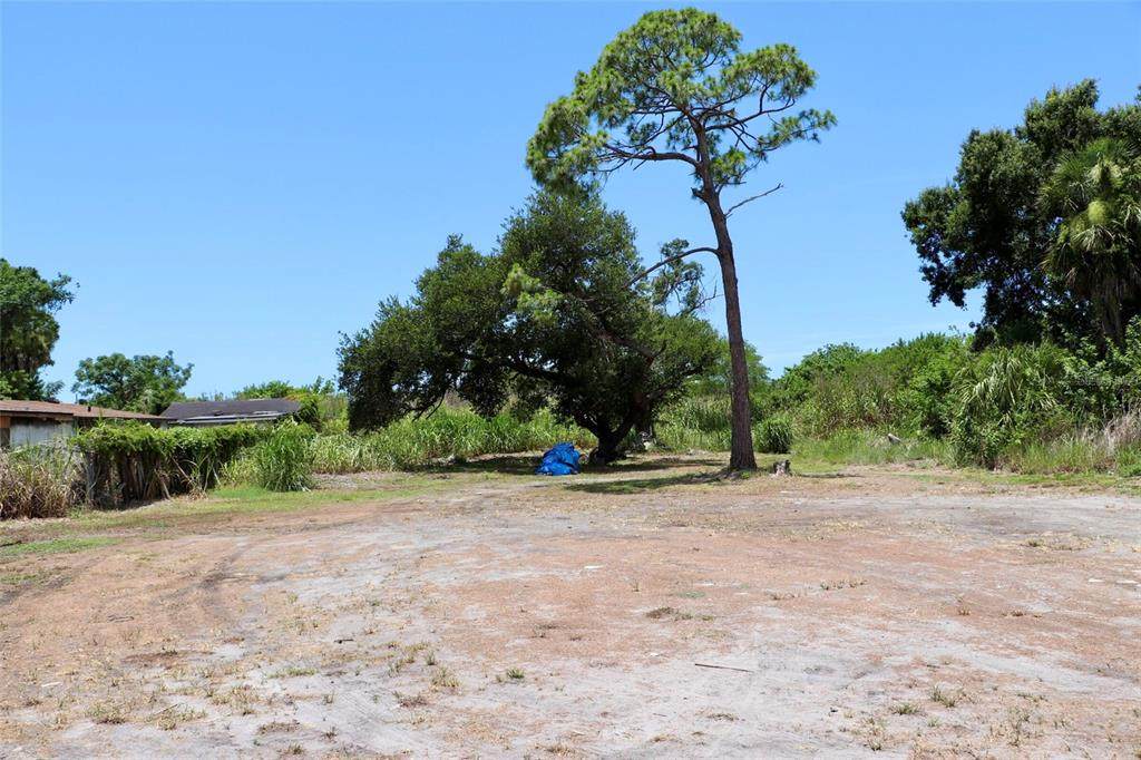 0 Mango Avenue - Photo 1