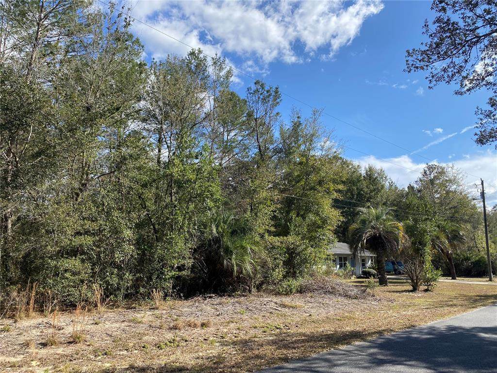 2085 Algiers Court - Photo 1