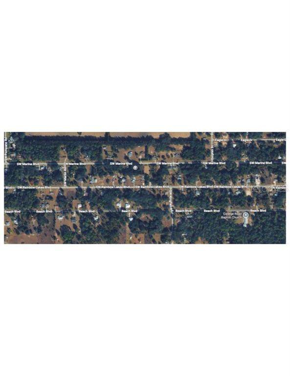  Marine Boulevard - Photo 1