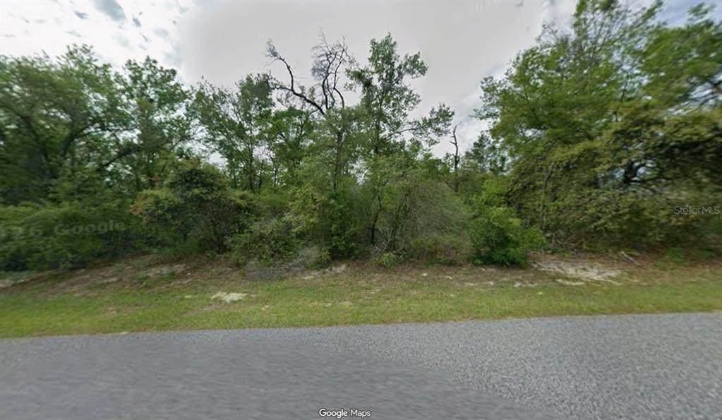 3012 Eunice Drive - Photo 1