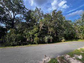  Sioux Trail - Photo 1