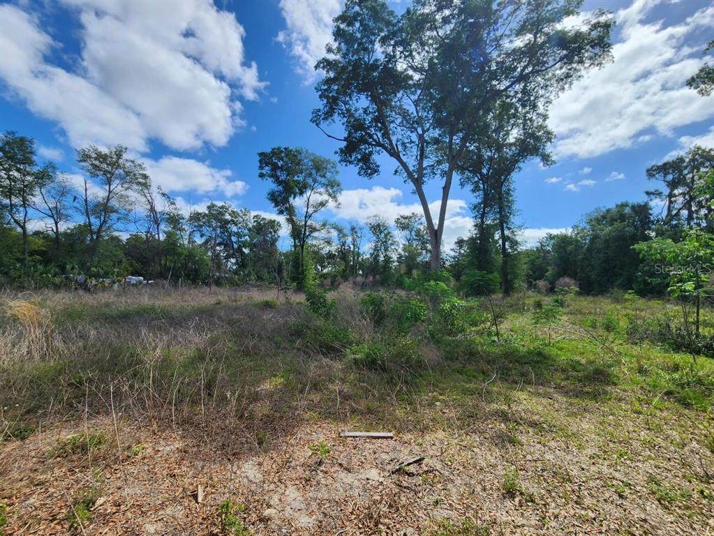 947 Ferne Drive - Photo 1