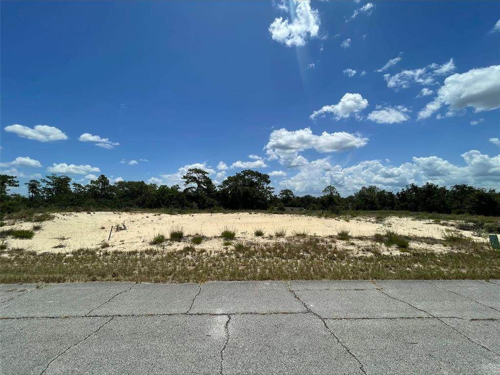 1344 Homosassa Court - Photo 1