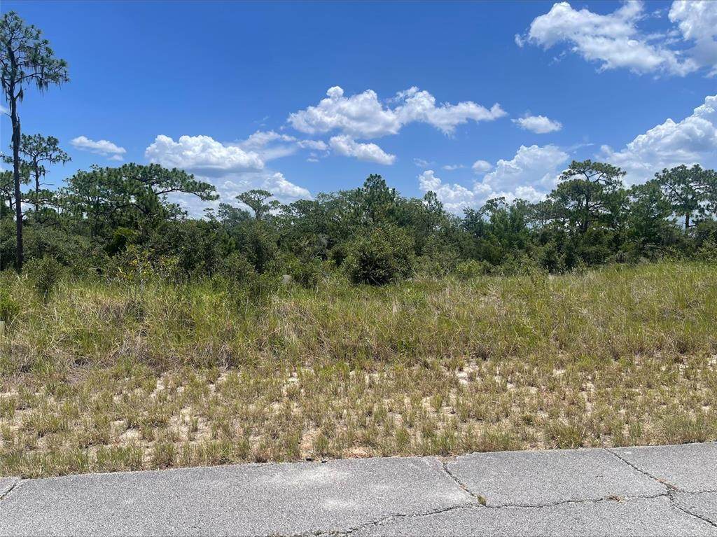 1340 Homosassa Court - Photo 1