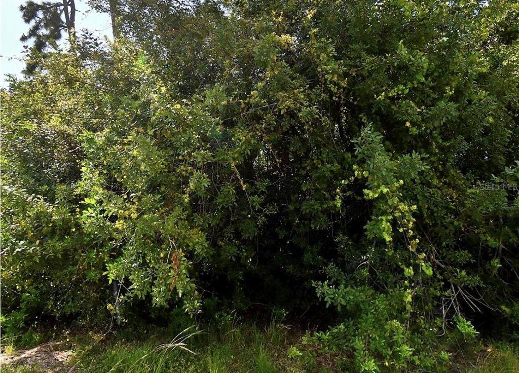  Map Avenue - Photo 1