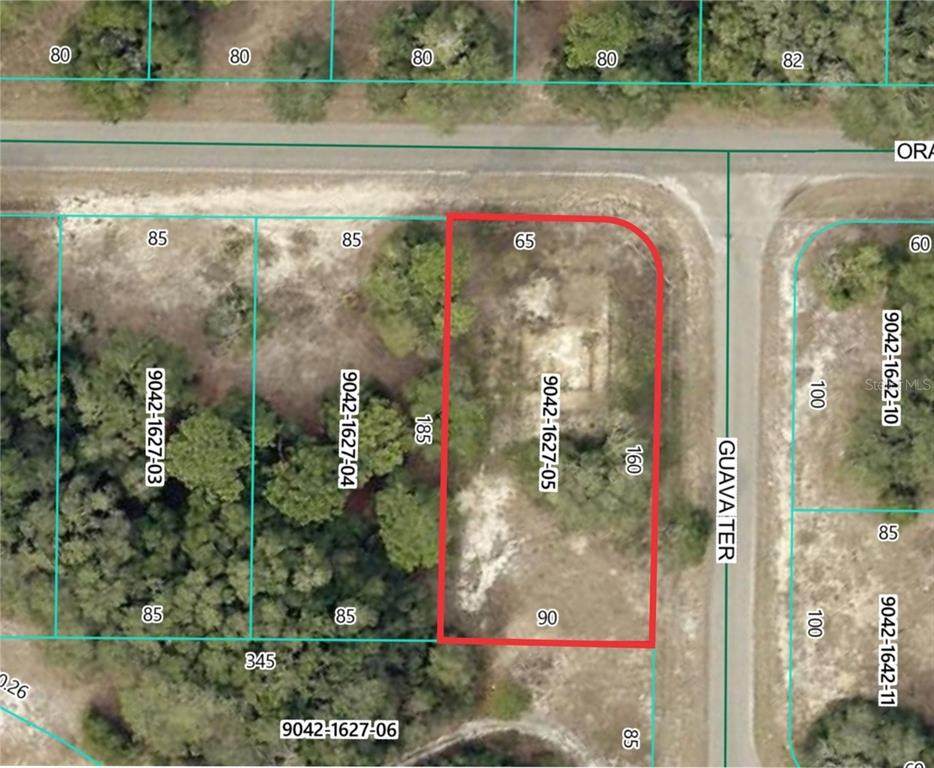 11745 Orange Road - Photo 1