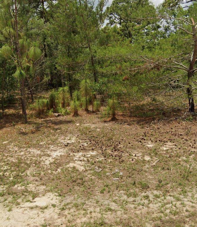 14214 60TH Terrace - Photo 1