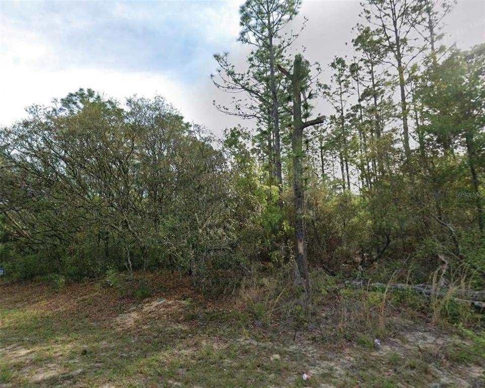7745 Maltese Drive - Photo 1