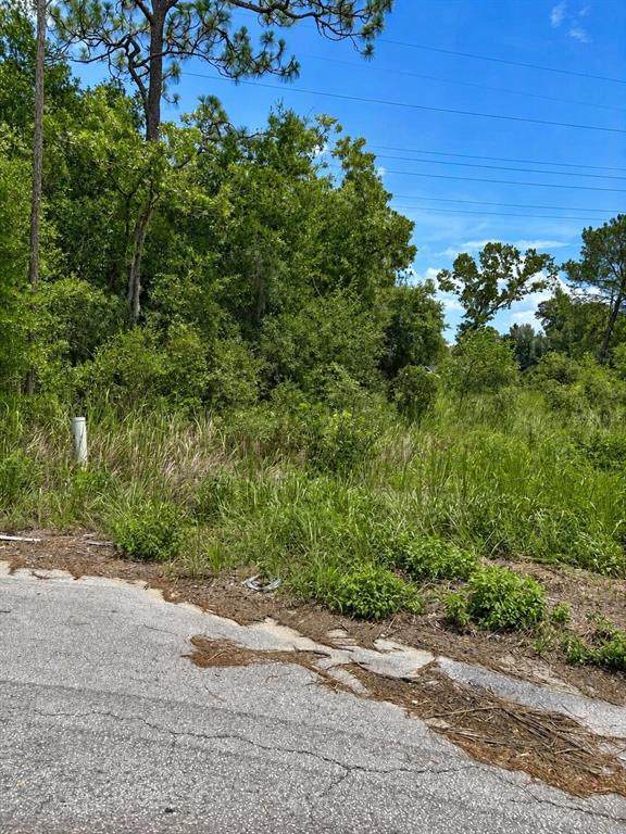  Water Track Lot 08 - Photo 1