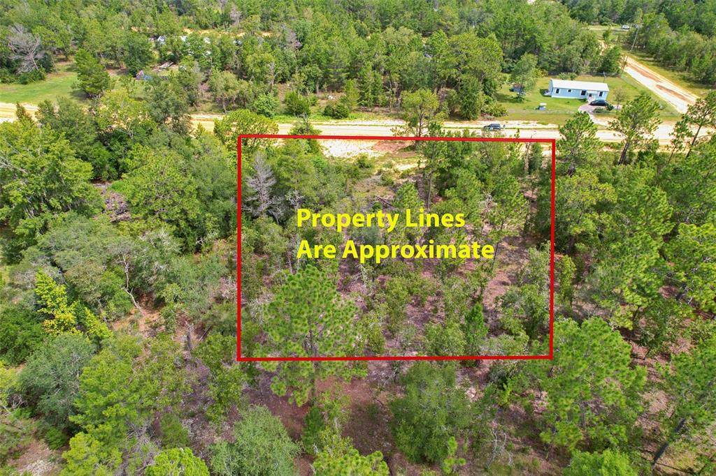 515 Interlachen Boulevard - Photo 1