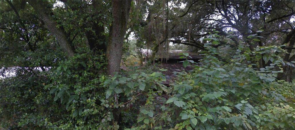 7802 12TH Street - Photo 1